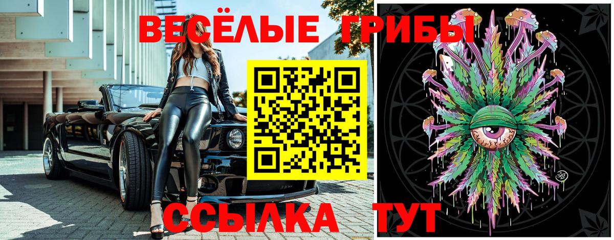 Галлюциногенные грибы GOLDEN TEACHER  Вход с VPN  Каменск-Уральский 